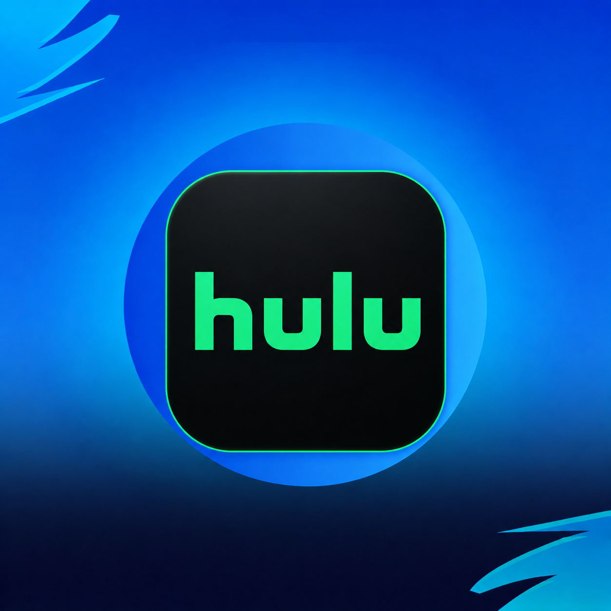 Hulu Subscribtion